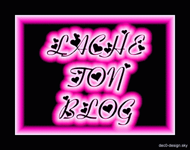 Lache ton blog !!!!!!!!!!